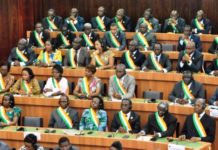 Décryptage fait de nouvelle la Constitution avant son adoption par 239 députés