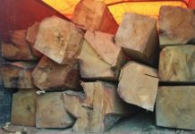 Daloa Un litige autour d’une saisie de bois défraye la chronique