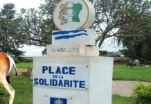 Entrepreneuriat et lutte contre le chômage des jeunes: Une structure offre plus de 35 hectares de semences à la jeunesse de Daloa