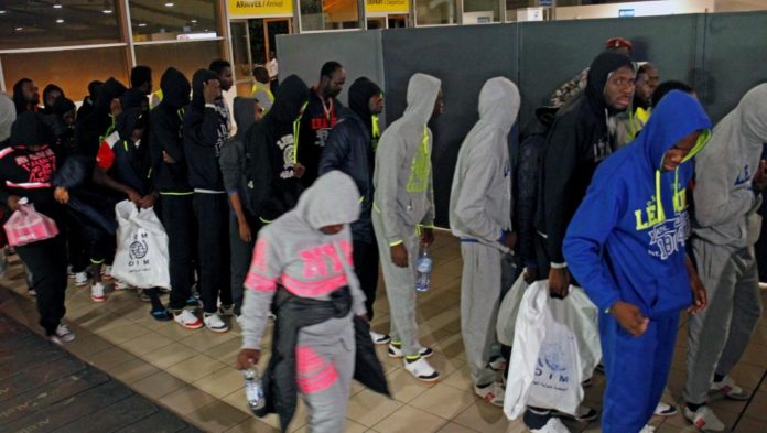 migrants