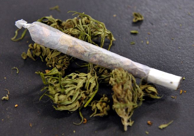 prevention-marijuana-cannabis-pour-illustration_3527670