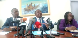 Kobenan Kouassi Adjoumani, porte-parole principal du Rhdp