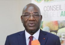 Fuite au Ghana de la noix de cajou : le Dg du Conseil Coton et Anacarde a peur et accuse