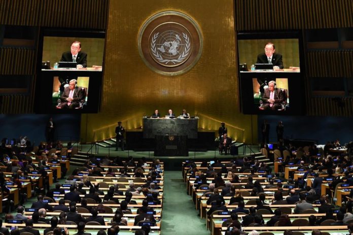 959664-onu