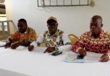 Côte d’Ivoire : Mabri ne fait plus la promotion du Rhdp (cadre Udpci )