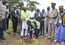 Environnement : le ministre Aka Aouélé participe à un planting d’arbres à Gbémazo