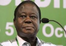 À Paris,le Rhdp a mobilisé des maliens avec 100 euros et nous 1,2 millions de militants à Yakro (Bédié)