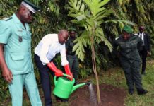 Opération ” Un jour, un million d’arbres” : le Premier Ministre Amadou Gon Coulibaly réaffirme l’engagement du gouvernement à restaurer le couvert forestier