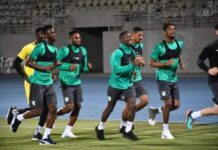 CAN 2021- Des cas de Covid-19 détectés chez les Éléphants / Le programme de préparation perturbé et aménagé