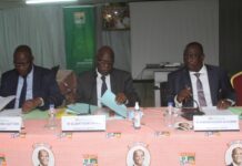 RHDP – Le Secrétariat exécutif du RHDP propose la création de 344 départements politiques, pour un meilleur maillage du territoire national.