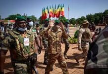 Contribution- Les militaires et le pouvoir : Cas de l’Afrique (SAHEL)