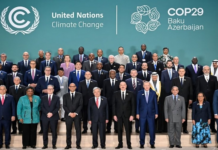 COP 29 : L’Afrique futur leader des énergies renouvelables ?