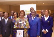 Développement économique et intégration africaine et mondiale : Cinq projets de loi adoptés en commission