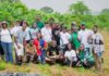 Protection de l’environnement:La MJC-ECOCI plante 300 arbres