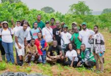 Protection de l’environnement:La MJC-ECOCI plante 300 arbres