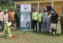 Foumbolo : l’ONG YOUGOTO plante près de 100 arbres et lance une opération de salubrité