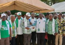 PDCI-RDA / District de Yamoussoukro : Les militants font bloc derrière Tidjane Thiam