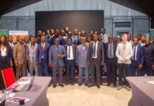 Hydrogène vert:La Côte d’Ivoire lance l’élaboration de sa stratégie nationale