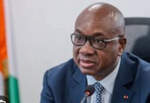 FIF :Yacine Idriss Diallo complète son dispositif avec 13 présidents de commissions
