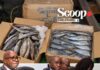 LA LETTRE DE L’IA – PAR WAKILI ALAFÉ :Prix du poisson, marges des commerçants et souveraineté alimentaire